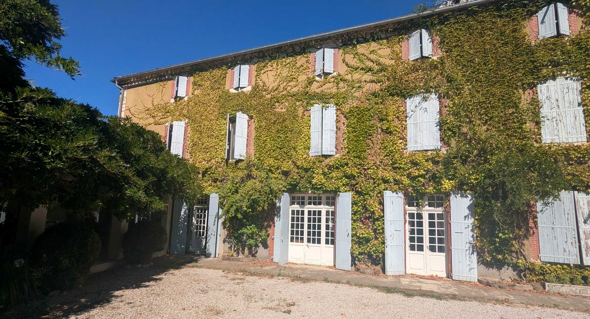 La façade de la maison de maître, volets ouverts, sous la vigne vierge, un jour de ciel bleu