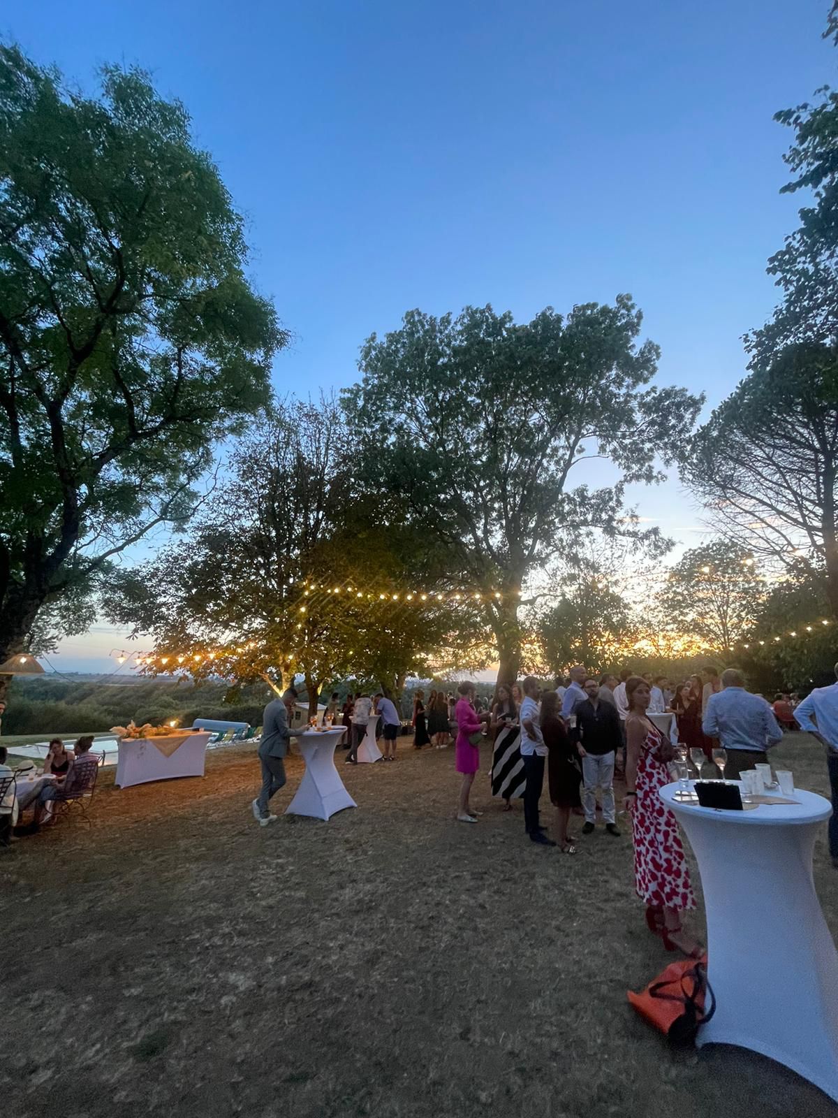 Vin d'honneur au coucher de soleil dans le parc du domaine - mariage champêtre Tarn