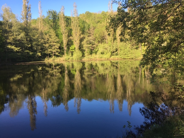 Lac privatif du Domaine de La Planésié dans le Tarn — séjour nature en groupe