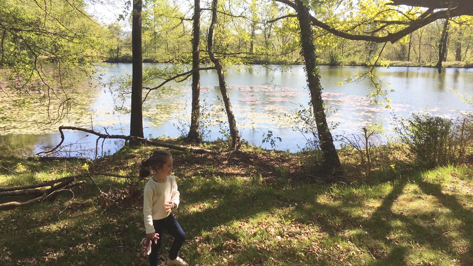 Vue large du lac privatif de La Planésié — séjour nature dans le Tarn
