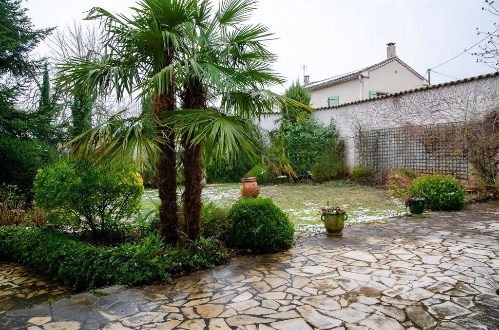 The flagged terrace behind the house, with a palm and clipped box
